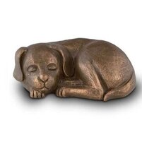 Urn hond