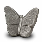 grote urn vlinder zilver