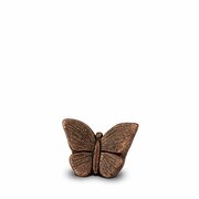 mini urn vlinder