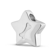 Assieraad Ster met botje zilver 925