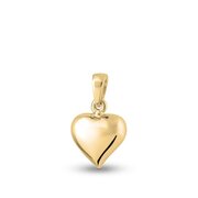 Ashanger/assieraad Hart klein goud 14k