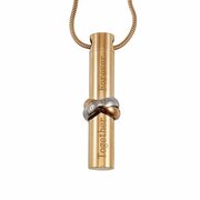 Ashanger buis Together Forever ros&eacute;goud incl. ketting