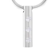 Ashanger Buis dierenpootjes zilverkleurig rvs incl. ketting
