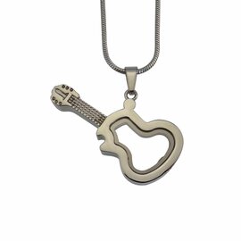 Ashanger rvs Gitaar zichtbaar