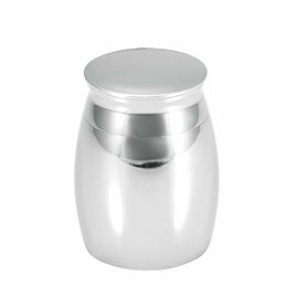 Mini urn rvs zilverkleurig design 