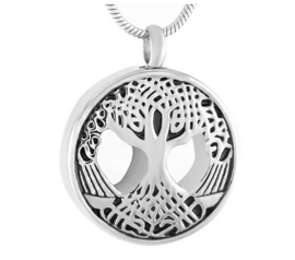 Ashanger Boom in cirkel