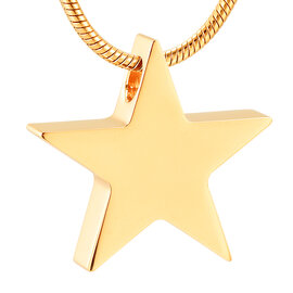 Ashanger rvs ster goudkleurig