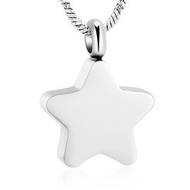 Ashanger rvs Ster klein afgerond zilverkleurig