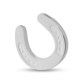 Assieraad Hoefijzer zilver 925