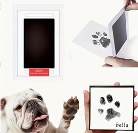 Pootafdruk Hond Kat Konijn maken