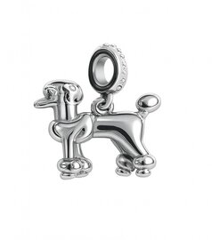 Ashanger poedel zilverkleurig (opruiming)